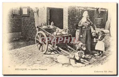 Belgique — Laitière Flamande — Collections ND. Phot.