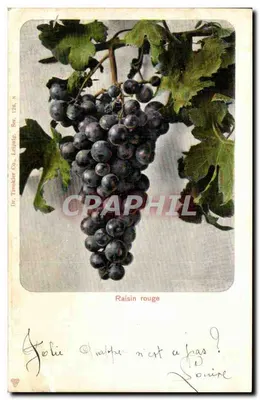 Uva vermelha — Dr. Trenkler Co., Leipzig, Sér. 126, 8