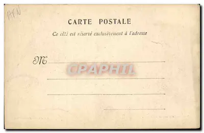 Tunis — Caravana de camelos — Em. d'Amico, Editor, Tunis. — Verso