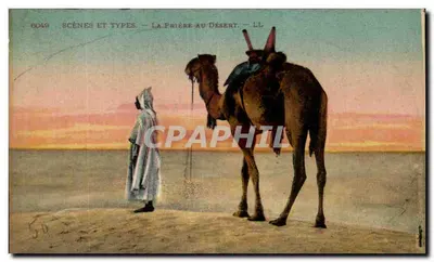A Oração no Deserto — Scènes et Types — LL — n° 6049