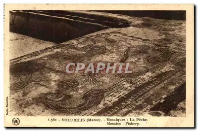 VOLUBILIS (Maroc) — Mosaicos : A Pesca — Foto Flandrin, n° 1.561