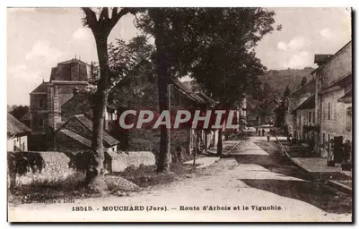 Mouchard (Jura) — Estrada de Arbois e o Vinhedo — Éd. Miname em Dôle, n° 18515