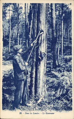 Na Landes — O Gommeur — G. Arrand, Nantes