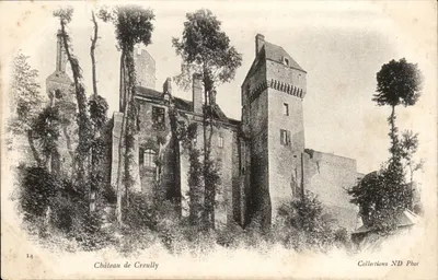 Castelo de Creully — ruínas cercadas de vegetação — Coleções ND Fot., n°14
