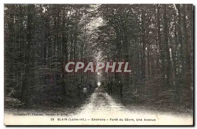 Blain (Loire-Inf.) — Arredores — Floresta do Gàvre, Uma Avenida