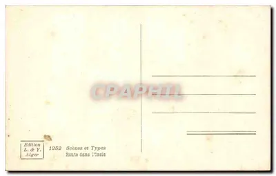 Estrada na Oasis — Argélia — Edição L. & Y. Alger, série 1252 — Verso