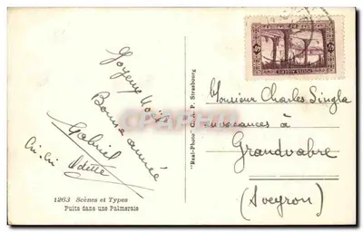 Kopiec w palmiarni — Algieria — 'Real-Photo' C.A. P. Strasbourg nr 1263 — Rewers