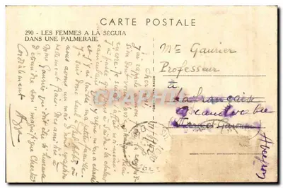 As mulheres na Ségouia — em uma palmeraie — editor Cim, n°290 — Verso