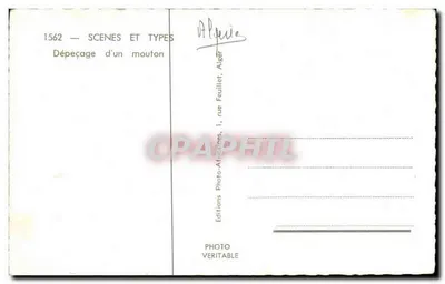 Desossamento de um carneiro — Argélia — Editor: Editions Photo-Veritable, n° 1562 — Verso