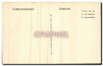 Biskra — Régimes de dattes sur les palmiers — ND — Rewers