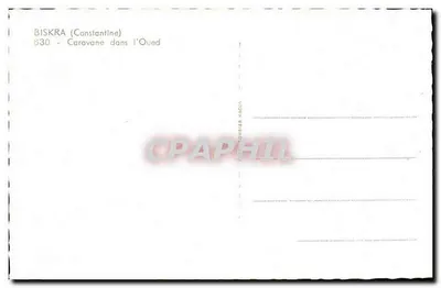 Biskra (Constantine) — Caravana no Oued — Cimy — Verso