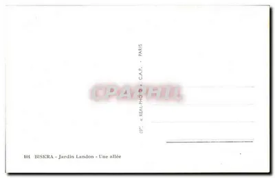 Biskra - Ogród Landon — Aleja — C.A.P. Paryż, nr 101 — Rewers