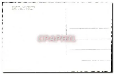 Biskra (Costantina) — Nell'Oasi — Photo Cohibier Macon, n°823 — Verso