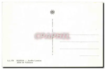 Biskra — Ogród Landon — Aleja Palmy — Rewers