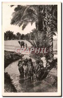 Biskra — Crianças nadando na Segnia — C° Les Arts Photomécaniques, Strasbourg