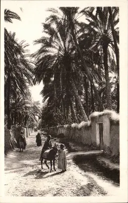 Biskra — Caminho na Oasis — C° des Arts Photomécaniques, Paris