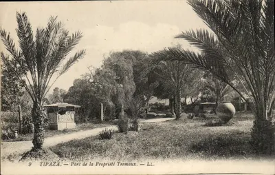 Tipaza — Parc de la Propriété Tremaux — Li.
