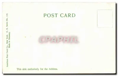 Magnolia Gardens, Charleston, S.C. — vista de jardín con camino y flores — American Post Card Co. — Reverso