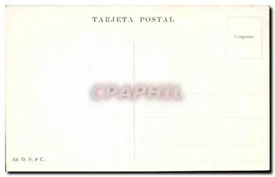 Buenos Aires - Museu das Belas Artes — editor D. P. & C. — Verso