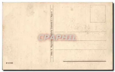 NAPOLI - Panorama dalla Tomba di Virgilio — widok na Wulkan — Ditta E. Ragozino, Napoli — Rewers