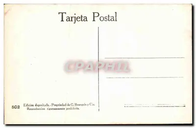 Buenos Aires - Palmy w Recolette — Rewers