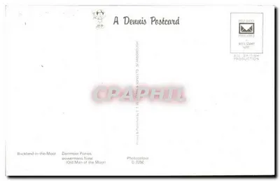 Dartmoor — Paisagem e cavalos — A Dennis Postcard — Verso