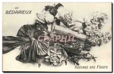 Bédearieux — Flores e vista da cidade — Editor não identificado