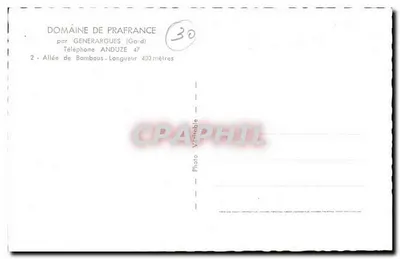 Aleja bambusów — Dziedziniec Prafrance — par Générargues (Gard) — Rewers