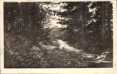 Floresta de Pius — Montdardier — Castelo no fundo — Edição SEG, Le Vigan