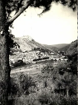 Aniouse (Gard) — vista panorâmica — Scheitler-Larue, n° 224