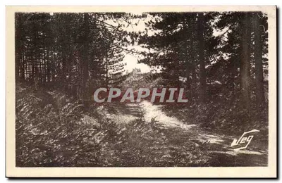 Floresta de Pinheiros — Montdardier — Le Vigan — Nossas Cévennes — Edição SEG