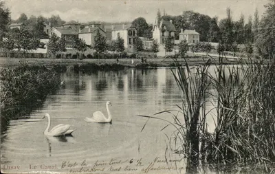 Orsay - O Canal — dois cisnes — Edição Trianon n°1787