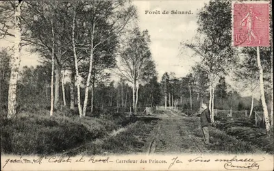 Floresta de Sénard — Cruzeiro dos Príncipes — editor Gauvrot, n° 177