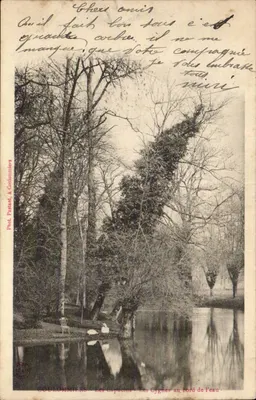 Os Cisnes na beira da água — Goullomiers — Fot. Pastant, em Coulommiers