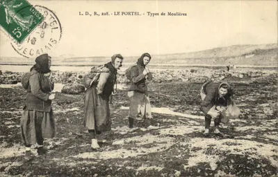 Le Portel - Typen von Moulières — L.D., B., 228