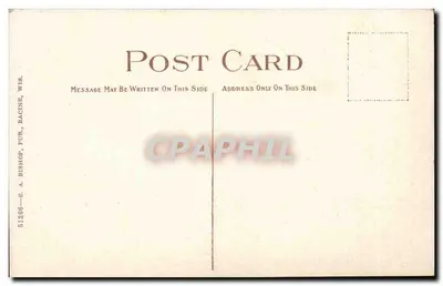Park Street — Science Hall, Universidade de Madison, Wisconsin — E. A. Bishop, Racine, Wis. — Verso