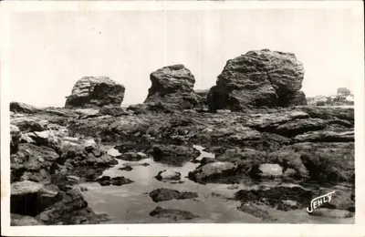 Les Pinaux — Croix-de-Vie — Éditions Jehly, n°527