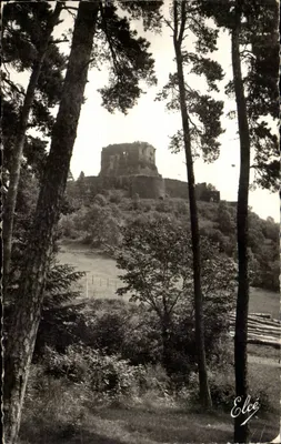 Castelo de Murol — Ruínas cobertas de pinheiros — Editor Elcé
