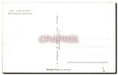 Pasterze w górach — Auvergne — Chatatagneau — Rewers