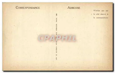 Carnac — Wyrównanie Menec, złożone z 1'69 pionowych menhirów na II rzędach — LL — Rewers