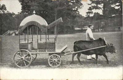 Carroça puxada por uma vaca — Paris — editada por Staerckm, Paris