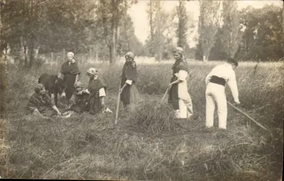 Cena de colheita — mulheres e homem trabalhando — Photo Sarrazin & Bonny, Libourne
