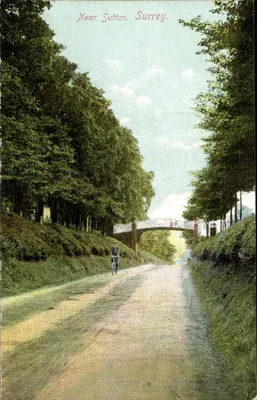 Vista de uma estrada cercada de árvores em Sutton, Surrey — série 209