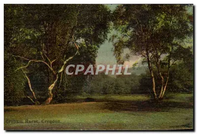 Groham Hurst, Croydon — vista da floresta — editor não identificado