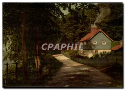 Cottage nos bosques — Lane at Ballards, Croydon — Série R. & D. Duerer