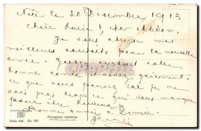 Eryngium alpinum — Fotoquímica, Série 506, No 787 — Verso