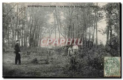 Montreuil-sous-Bois — O Bosque dos Bambles, A Boisserie — Progr. M. M. T.