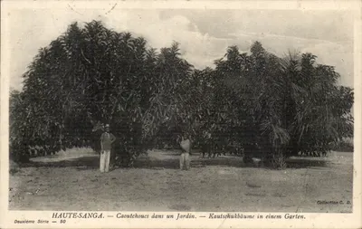 Haute-Sanga — Borrachas em um Jardim — Segunda Série — 50