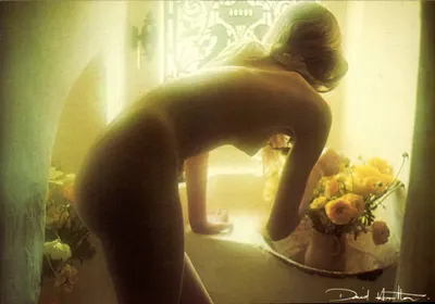 Naga kobieta w wannie — David Hamilton — éditions agep