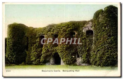 Zamek Beaumaris — Hala Obrzędowa — seria 20436